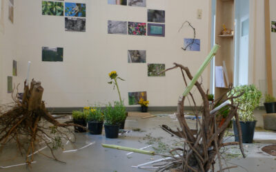 Pantone green / Rotterdam