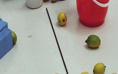 Pantone Green / Athens