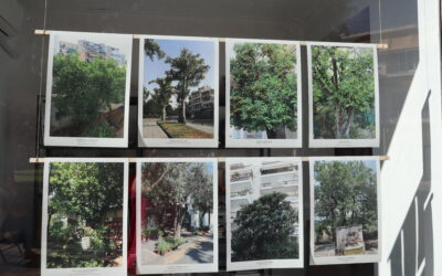 Portraits of trees. Notes on History.(Nafplio)